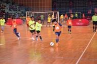Premier Futsal